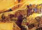 Disque-Monde - Josh Kirby